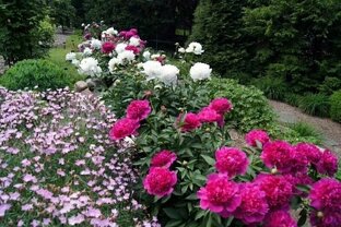 Сад и огород