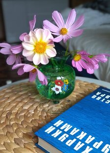 Бомбические ТОПы от двух разведенок!