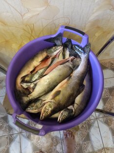 РЫБАЛКИ с загадками.