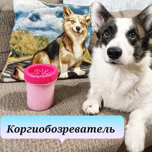 Обзоры и лайфхаки 