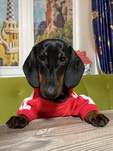 Костюмчики