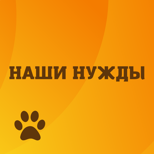 Самое необходимое