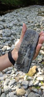 Интересные факты