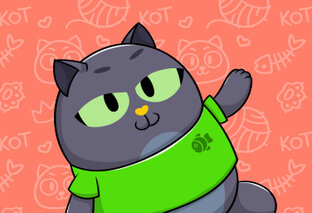 Короткие ролики