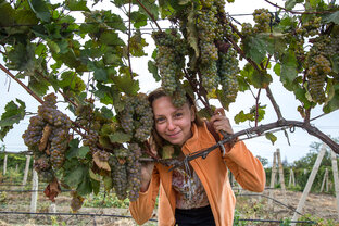 Осенние рецепты