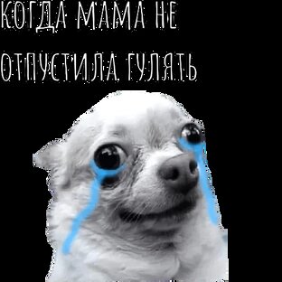 Как вам мем