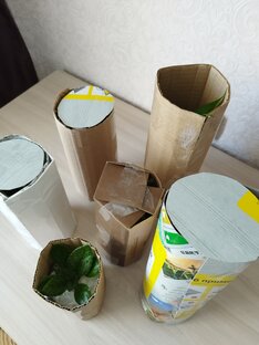 Цветы почтой 