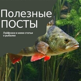 Посты о рыбалке