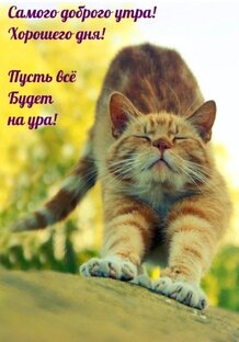 Лайфхаки