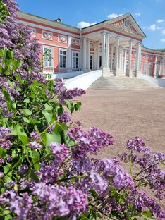 Лето в городе