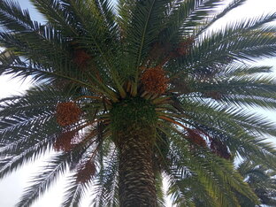 Путешествия.