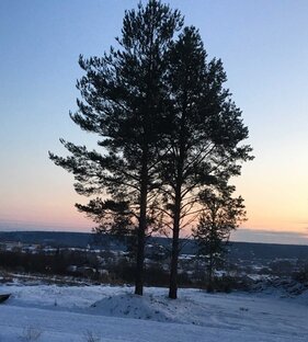 Красивое