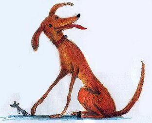 КейтДиКамилло