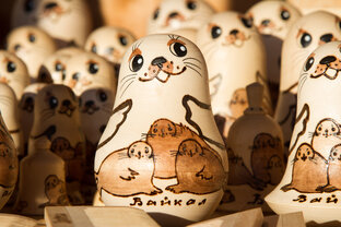 Про фотосессии