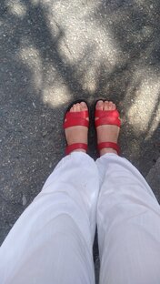 Переезд на юг