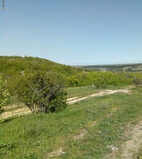 Крым. Сад и огород. 