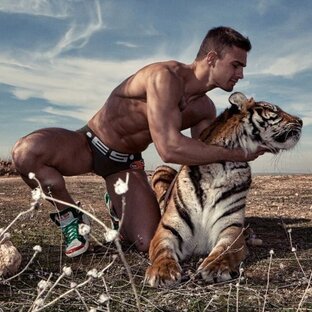 Про животных