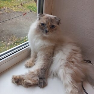 Что-то может пойти не так......