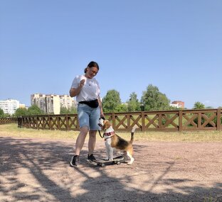 Скейт