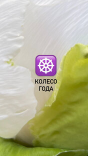 Праздники и события