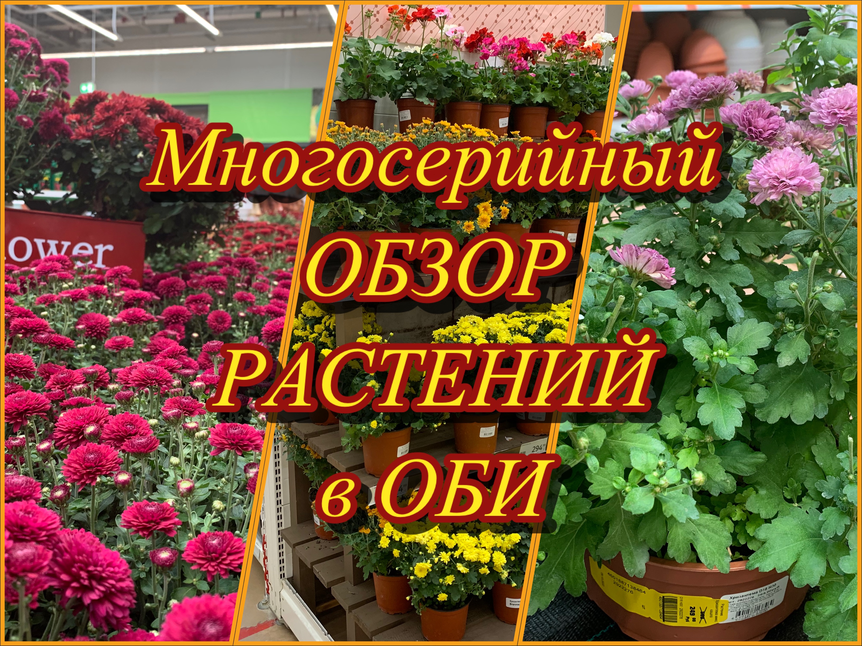 Обзор питомника. Фитолампа для растений закоренелый цветочник. Садовый центр леруа мерлен. Монстера манки вредители. Обзор растений.