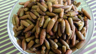 Готовим дикоросов