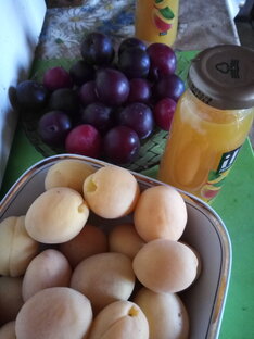 Фрукты. 