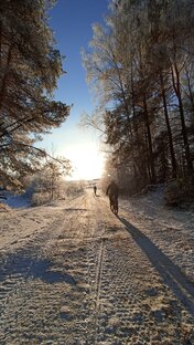 Республика Коми