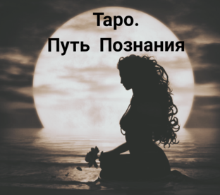Мои видео - ролики