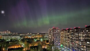Интересное вокруг нас. Впечатления. 