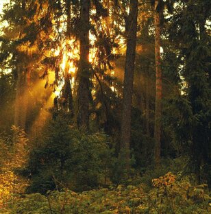 💙※/\𝕐ℍ𝔸 π𝕠я𝔹u𝕋𝕔я π𝖔𝖈/\𝖊 ℂ𝕆/\ℍЦ𝔸※💙