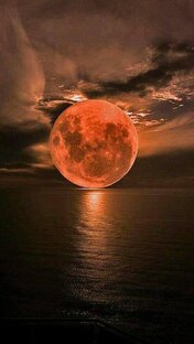 Творческие мероприятия без пародий 