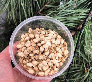 Душа природы