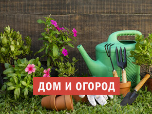 Дом и огород