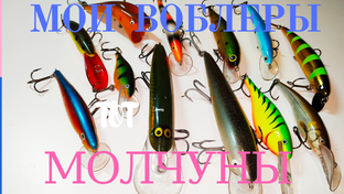 Обзоры лучших приманок