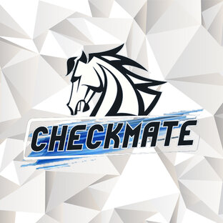 Дзен Checkmate! ICO статистика