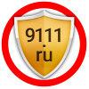 Дзен 9111tv статистика