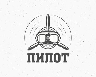 Дзен Пилот самолёта статистика