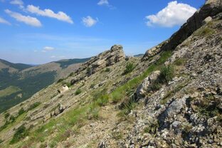 Дзен Черно-белое море  статистика