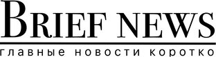 Дзен Briefnews.ru статистика