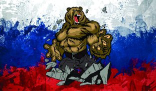 Дзен Канал Русских Медведей статистика