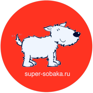 Яндекс дзен Городской приют Супер Собака статистика