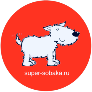 Дзен Городской приют Супер Собака статистика