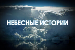 Дзен Небесные истории статистика