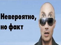 Невероятно но факт