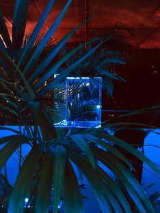 Дзен foodopinion статистика