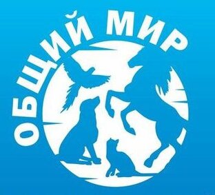 Общий мир