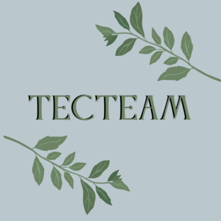 Дзен Тесteam статистика