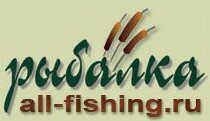 Дзен All-Fishing.ru статистика