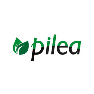 Статистика Дзен Pilea.ru Магазин Растений  